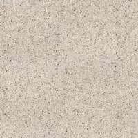 100310872 Treviso Beige 8mm 120x120