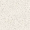 100310881 Treviso Blanco 8mm 120x120