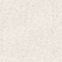 100310881 Treviso Blanco 8mm 120x120