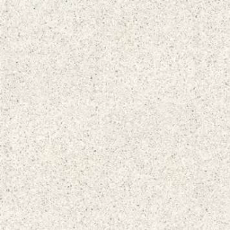 100310881 Treviso Blanco 8mm 120x120