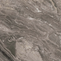 100311892 Xlight Premium Orobico Grigio Polished 6mm 120x120