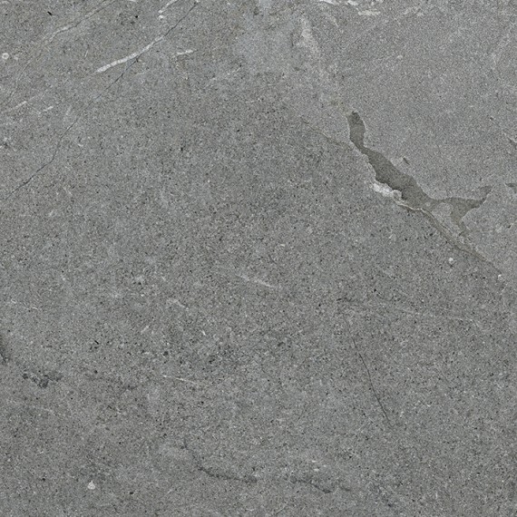 Керамогранит 100314070 Lucerna Silver 59.6x59.6