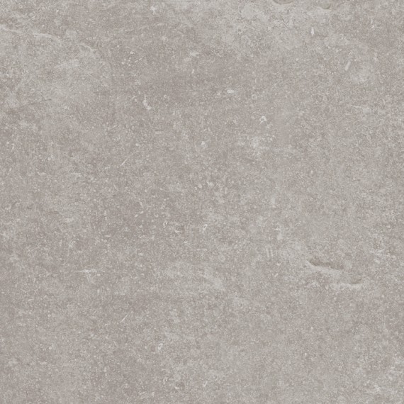 Керамогранит 100324749 Керамогранит Verbier Silver 59.6x59.6