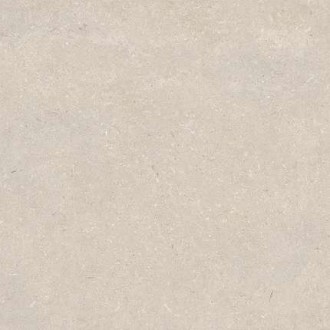 100330175 Керамогранит Caliza Ant. L 120х120