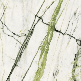 100331093 Calacata Green Polished 120x120