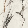 100331132 Xlight Paonazzo Biondo Polished 120x120