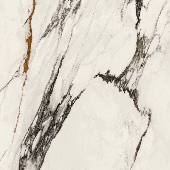 Керамогранит 100331132 Xlight Paonazzo Biondo Polished 120x120