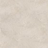 100348020 Керамогранит Dorcia Bone L 120x120