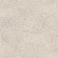 100348020 Керамогранит Dorcia Bone L 120x120