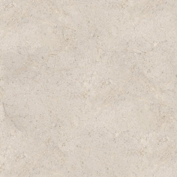 Керамогранит 100348020 Керамогранит Dorcia Bone L 120x120