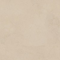 100348023 Керамогранит Dorcia Marfil L 120х120