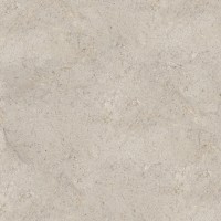100348026 Керамогранит Dorcia Acero L 120x120