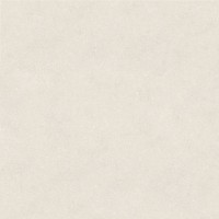 100348029 Керамогранит Terra Bone 120x120