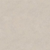 100348032 Керамогранит Terra Topo 120x120