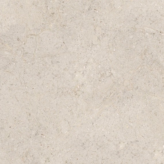 Керамогранит 100348054 Керамогранит Dorcia Bone L 80x80