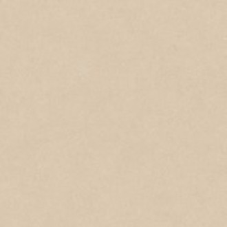 100355029 Керамогранит Terra Clay 120x120