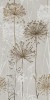 1006003 Керамогранит Affreschi Monet Rett R9 60x120