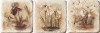 1009718 Inserto S3 Travertino 10x10