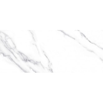 10100001333 Плитка Anima Белый 60*25