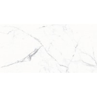 1011 SATIN BASE GLOSSY 60x120