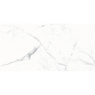 1011 SATIN BASE GLOSSY 60x120