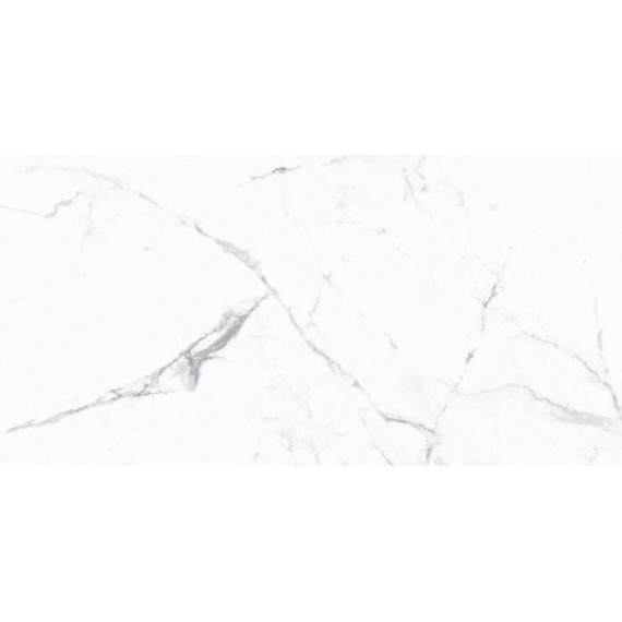 Керамогранит 1011 SATIN BASE GLOSSY 600x1200