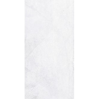 1039-0245 Плитка (1041-0245) Кампанилья серый 20х40