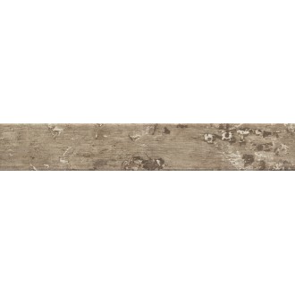 1058458 Kentucky American Elm 15*90