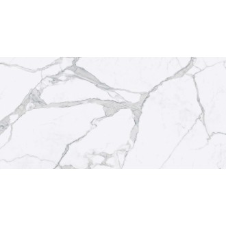 106041 Statuario Nat Ret 60x120