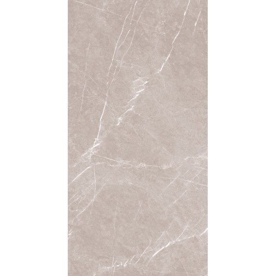 Керамогранит 1069 Керамогранит Monte Grigio Carv 120x60