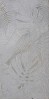 1070217 W03 Myfair White PZ 60х120 