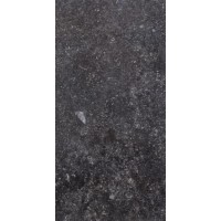 1076236 Керамогранит Ardenne Nero 20х40