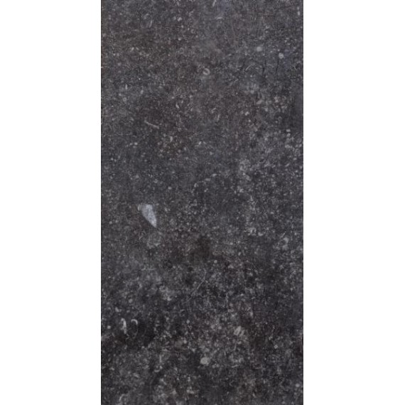 Керамогранит 1076236 Керамогранит Ardenne Nero 20х40
