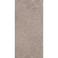 1076241 Керамогранит Runi Avorio 20x40