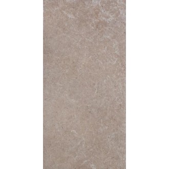 1076241 Керамогранит Runi Avorio 20x40