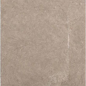 1077084 Керамогранит Runi Avorio 20x20