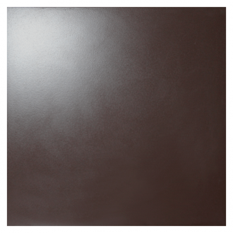 10GCRР 0011 светло-коричневый полированный 60x60