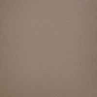 10GCR0016 Моноколор Беж Матовый 60x60