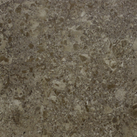 10GCR G KM 0111 Камбрилс 60x60