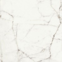 117466 WHITE FUN LEVIGATO+RETTIFICATO 60x60