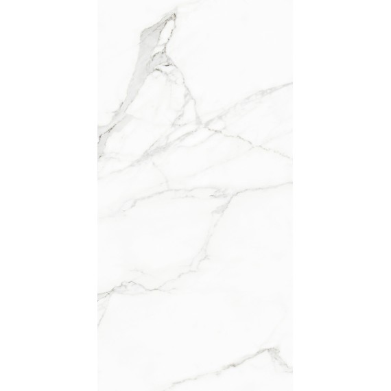 Керамогранит 120126 WHITE BEAUTY NATURALE+RETTIFICATO 60x120