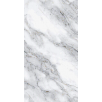1201 Agest 60x120