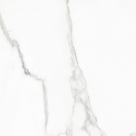 Керамогранит 120359 WHITE BEAUTY NATURALE+RETTIFICATO 60x60