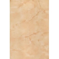 120461 Ресса Светлая 25х40