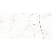 12055R CARVING 60x120