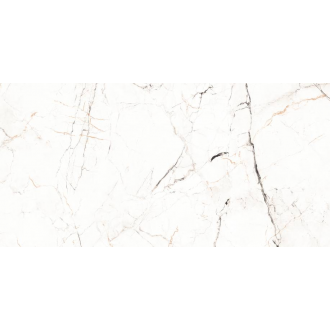 12055R CARVING 60x120