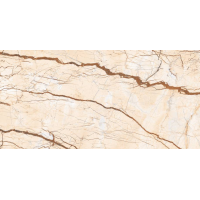 12056R CARVING 60x120