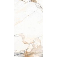 12161 R CARVING 60x120