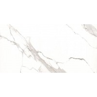 12210R CARVING 60x120