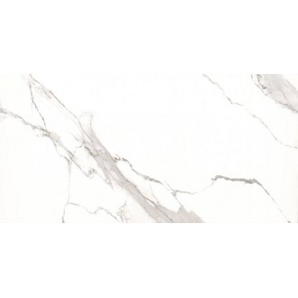 12210R CARVING 60x120